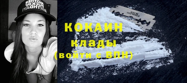 бошки Новодвинск