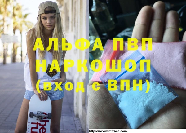 бошки Новодвинск