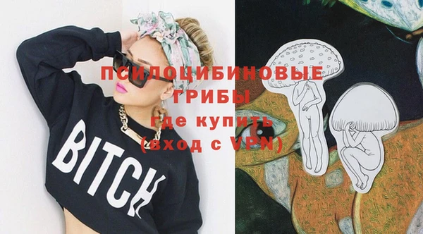 сатива Нея