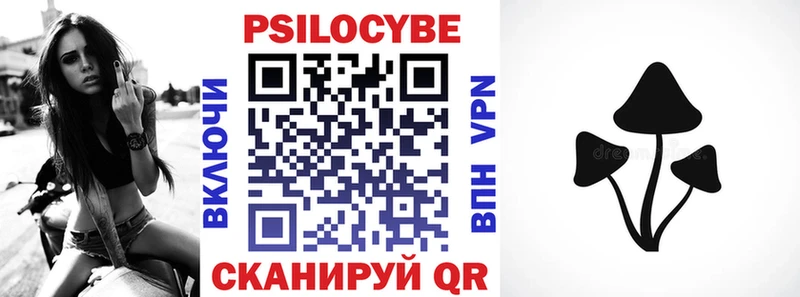 Псилоцибиновые грибы Cubensis Нефтекумск