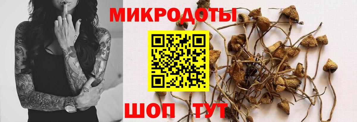 Псилоцибиновые грибы мицелий  Вход с VPN  Нефтекумск 